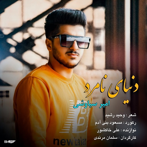 امیر سیاوشی دنیای نامرد